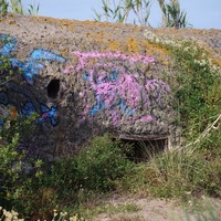 Photo de France - La randonnée de la Tamarissière